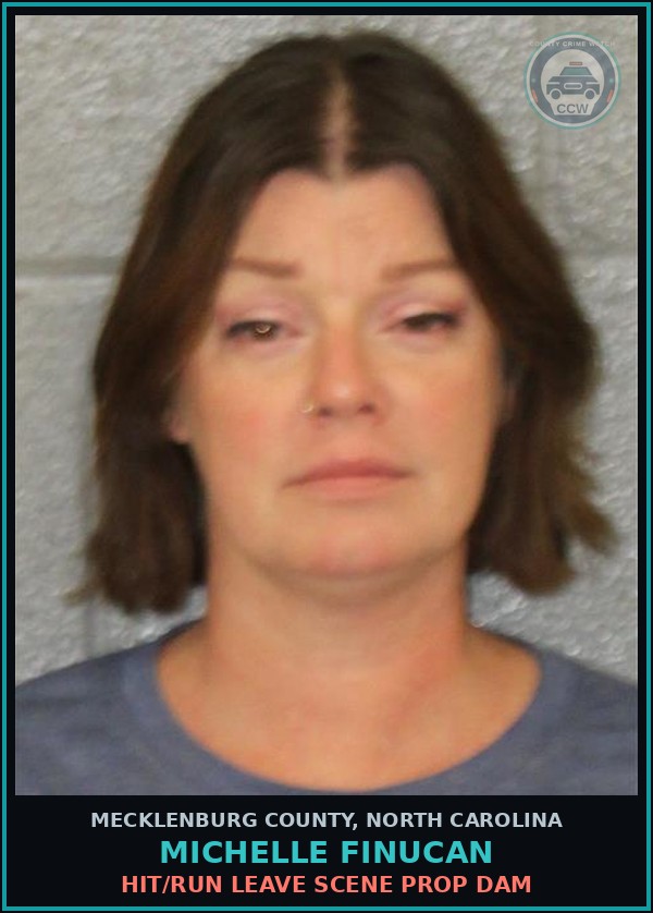 Booking mugshot of MICHELLE FINUCAN in Mecklenburg County
