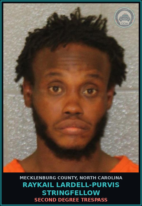 Booking mugshot of RAYKAIL LARDELL-PURVIS STRINGFELLOW in Mecklenburg County