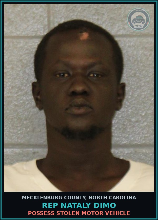 Booking mugshot of REP NATALY DIMO in Mecklenburg County