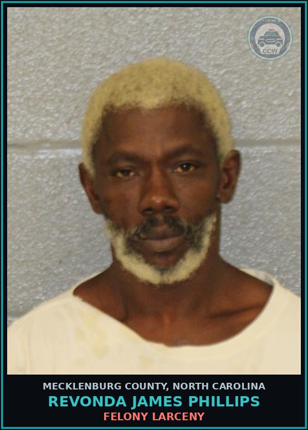 Booking mugshot of REVONDA JAMES PHILLIPS in Mecklenburg County