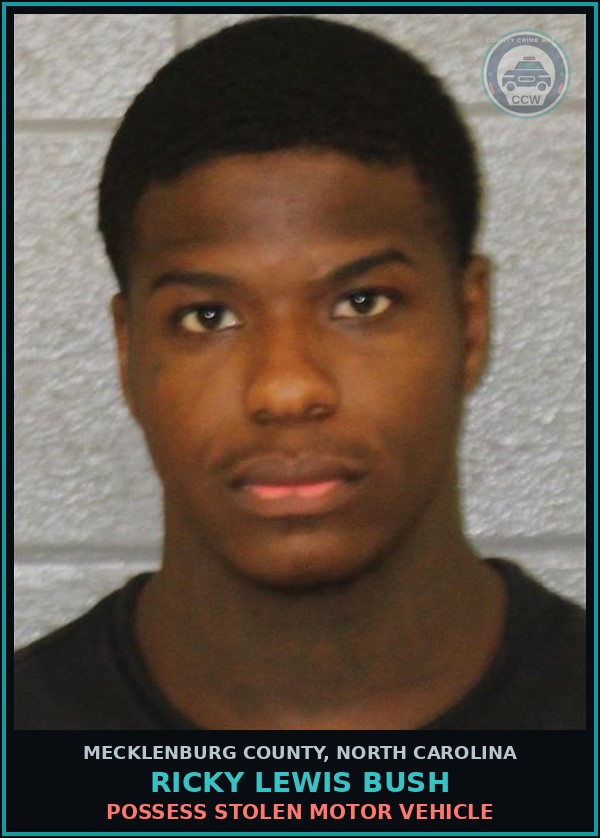 Booking mugshot of RICKY LEWIS BUSH in Mecklenburg County