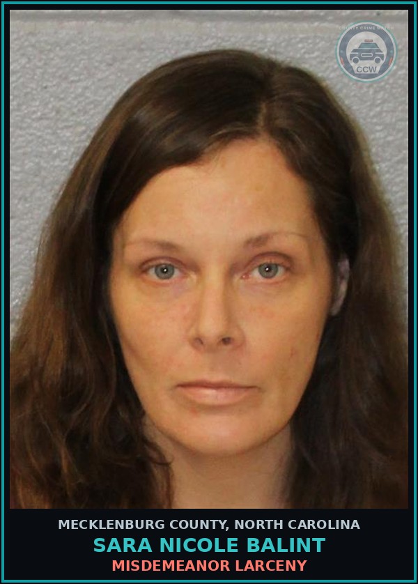 Booking mugshot of SARA NICOLE BALINT in Mecklenburg County