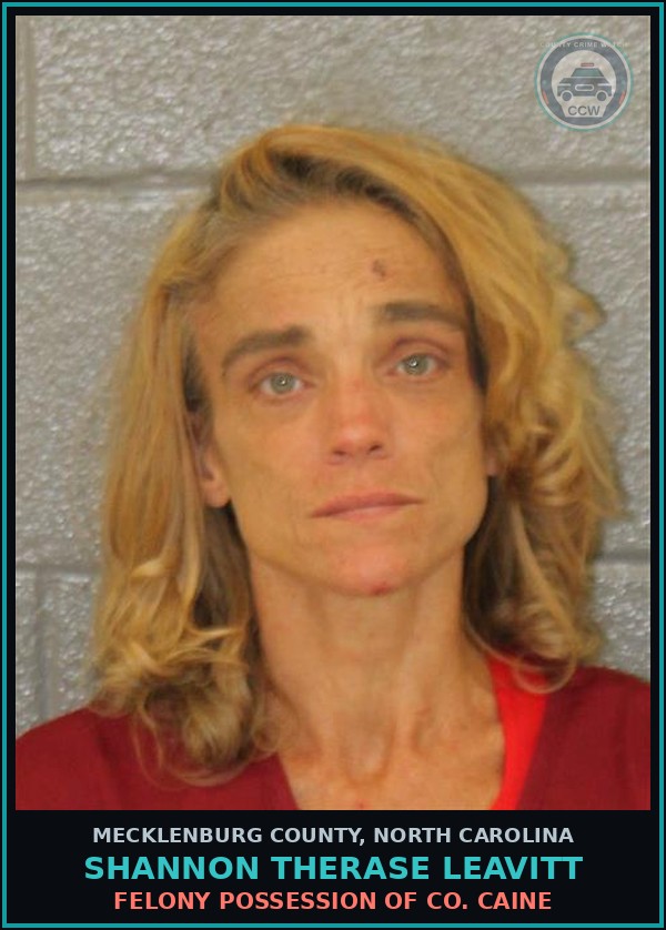 Booking mugshot of SHANNON THERASE LEAVITT in Mecklenburg County