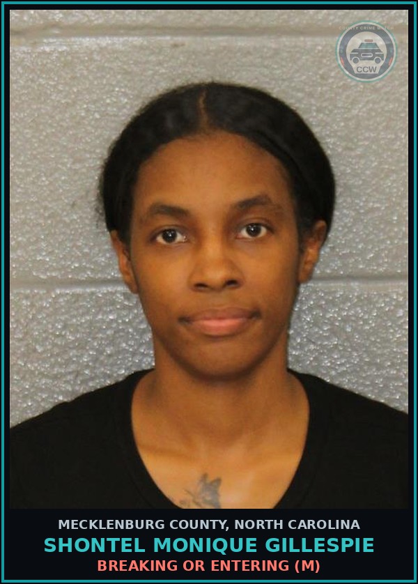 Booking mugshot of SHONTEL MONIQUE GILLESPIE in Mecklenburg County