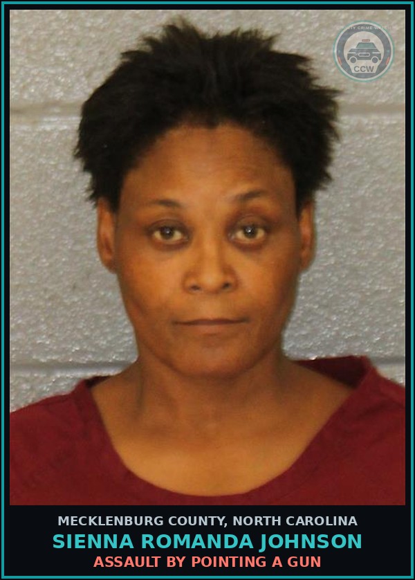 Booking mugshot of SIENNA ROMANDA JOHNSON in Mecklenburg County