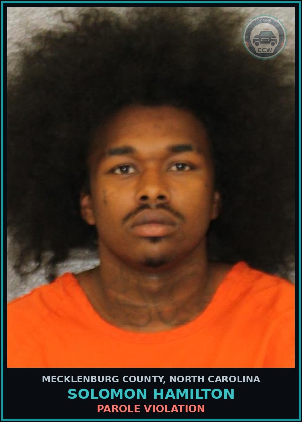 Booking mugshot of SOLOMON HAMILTON in Mecklenburg County