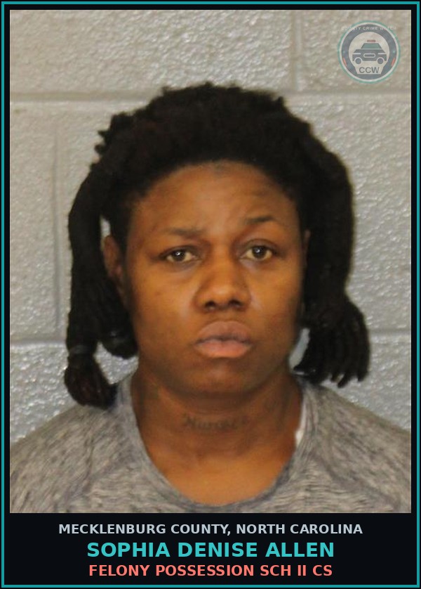 Booking mugshot of SOPHIA DENISE ALLEN in Mecklenburg County