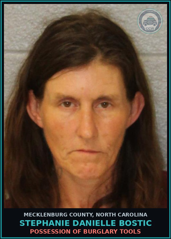 Booking mugshot of STEPHANIE DANIELLE BOSTIC in Mecklenburg County