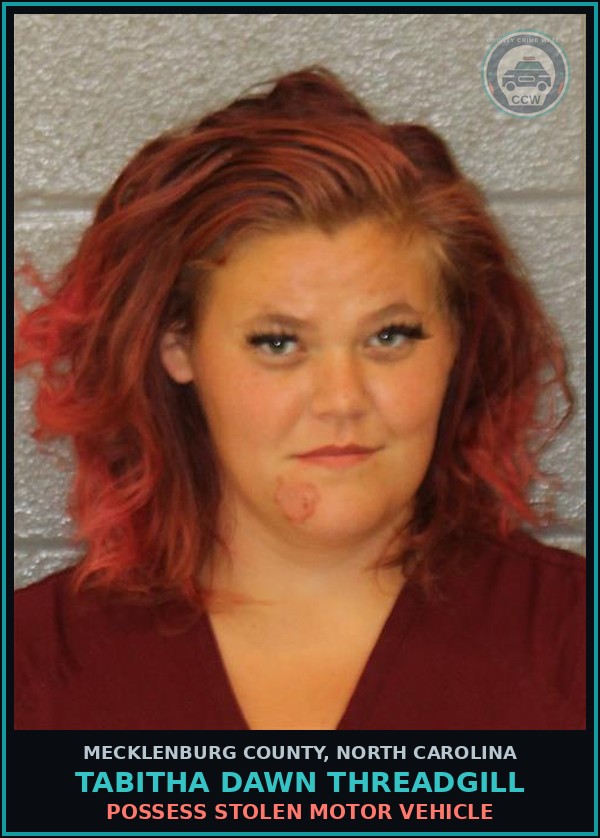 Booking mugshot of TABITHA DAWN THREADGILL in Mecklenburg County
