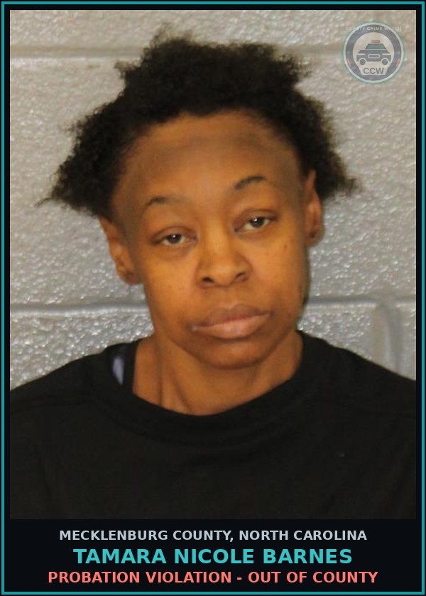 Booking mugshot of TAMARA NICOLE BARNES in Mecklenburg County
