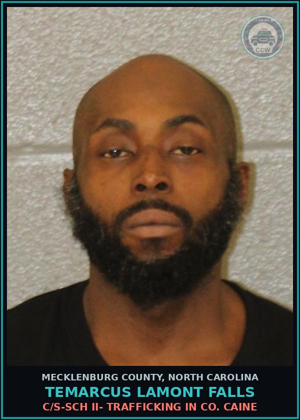 Booking mugshot of TEMARCUS LAMONT FALLS in Mecklenburg County