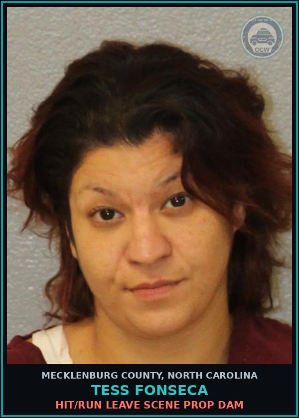 Booking mugshot of TESS FONSECA in Mecklenburg County