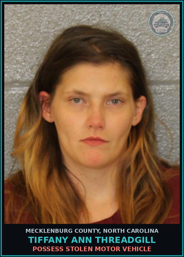 Booking mugshot of TIFFANY ANN THREADGILL in Mecklenburg County