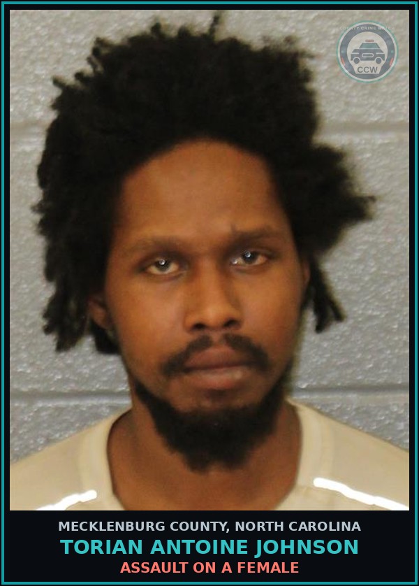 Booking mugshot of TORIAN ANTOINE JOHNSON in Mecklenburg County