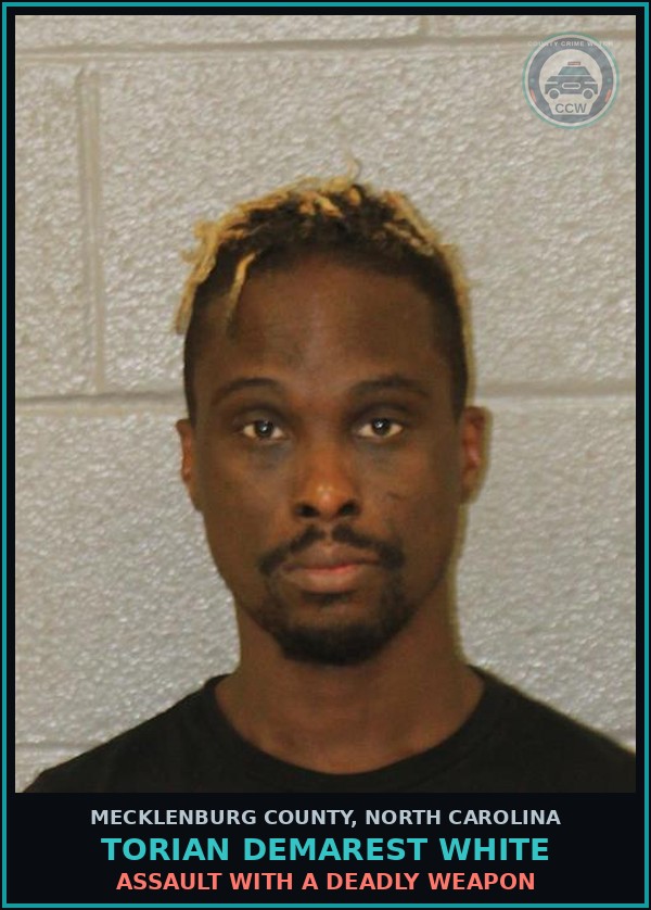 Booking mugshot of TORIAN DEMAREST WHITE in Mecklenburg County