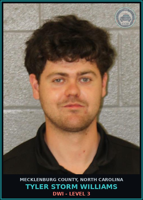 Booking mugshot of TYLER STORM WILLIAMS in Mecklenburg County