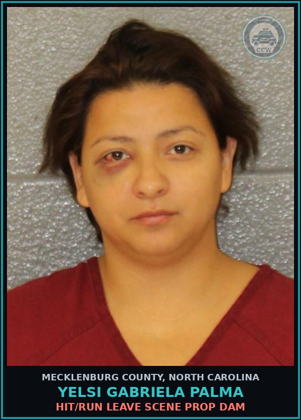 Booking mugshot of YELSI GABRIELA PALMA in Mecklenburg County