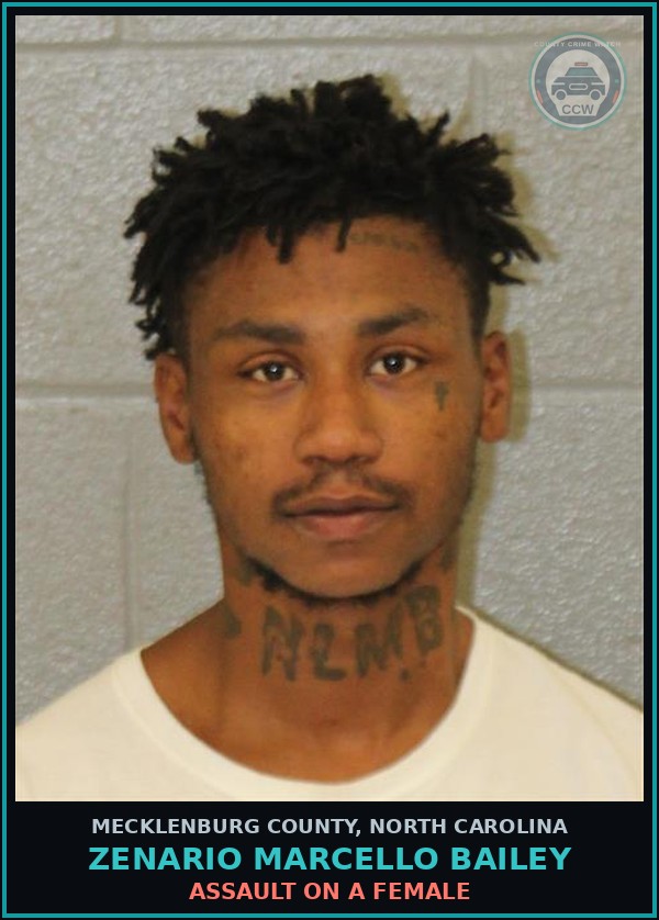 Booking mugshot of ZENARIO MARCELLO BAILEY in Mecklenburg County