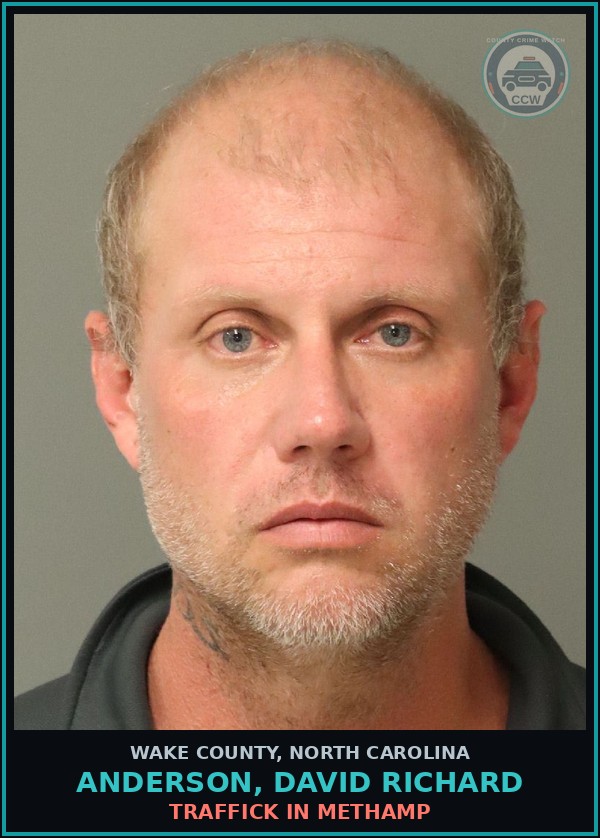Booking mugshot of Anderson, David Richard in Wake County