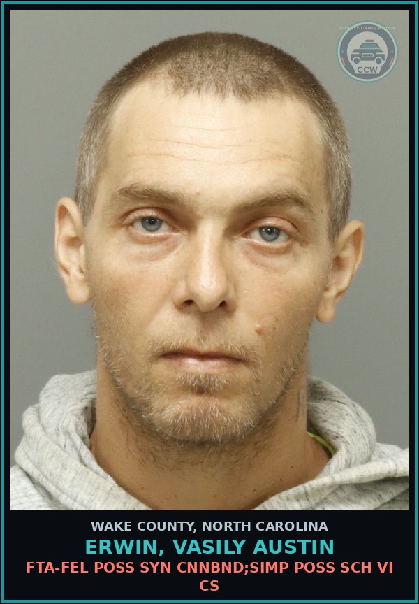 Booking mugshot of Erwin, Vasily Austin in Wake County