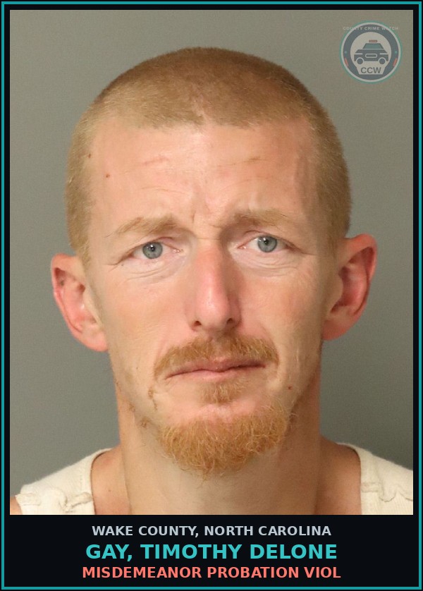 Booking mugshot of Gay, Timothy Delone in Wake County