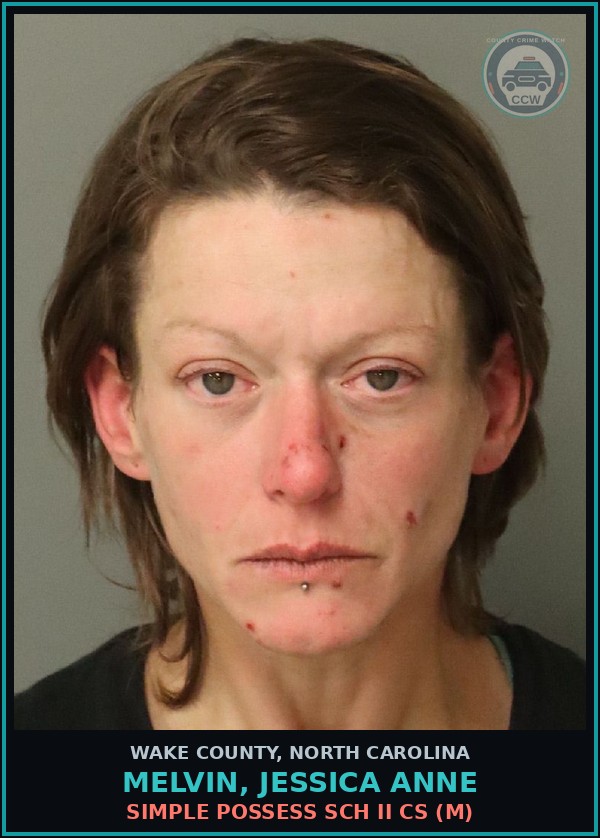 Booking mugshot of Melvin, Jessica Anne in Wake County