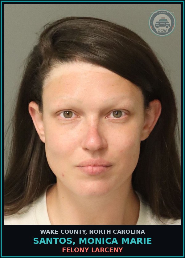 Booking mugshot of Santos, Monica Marie in Wake County