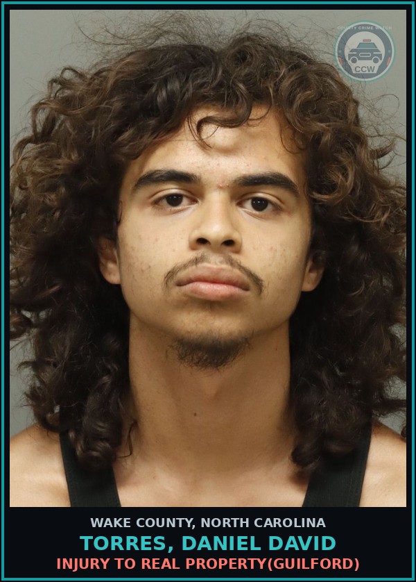Booking mugshot of Torres, Daniel David in Wake County