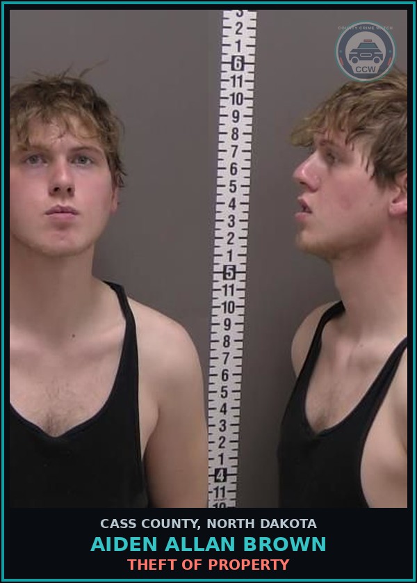 Booking mugshot of Aiden Allan Brown in Cass County