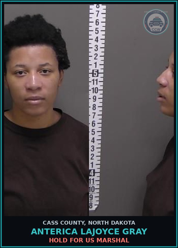 Booking mugshot of Anterica Lajoyce Gray in Cass County