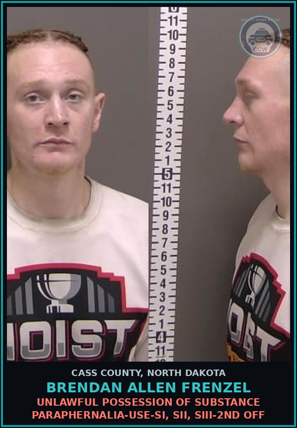 Booking mugshot of Brendan Allen Frenzel in Cass County