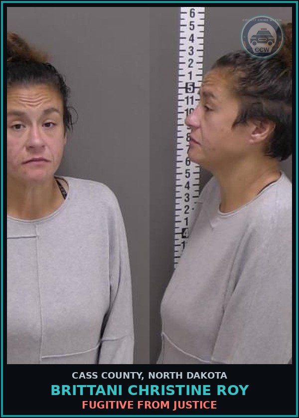 Booking mugshot of Brittani Christine Roy in Cass County