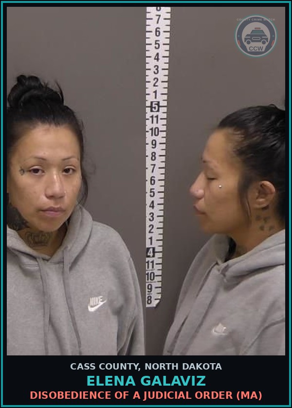 Booking mugshot of Elena Galaviz in Cass County