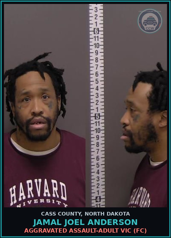 Booking mugshot of Jamal Joel Anderson in Cass County