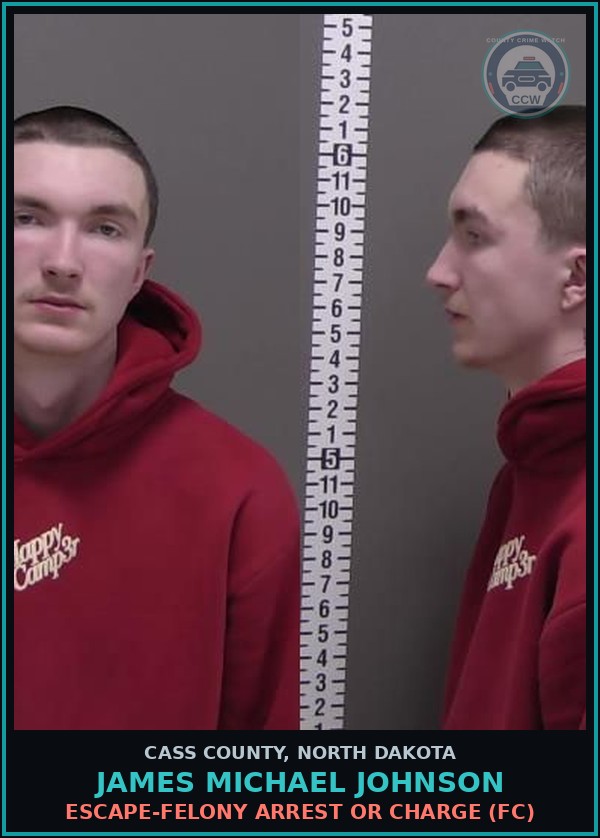 Booking mugshot of James Michael Johnson in Cass County