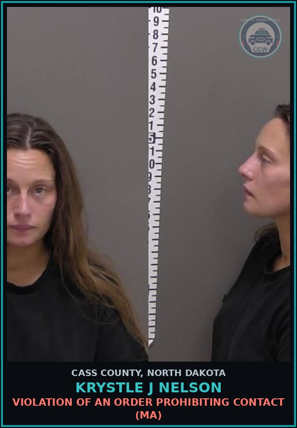 Booking mugshot of Krystle J Nelson in Cass County