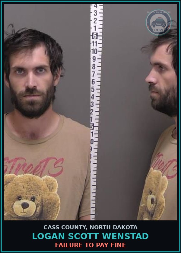 Booking mugshot of Logan Scott Wenstad in Cass County