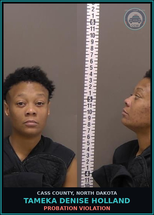 Booking mugshot of Tameka Denise Holland in Cass County