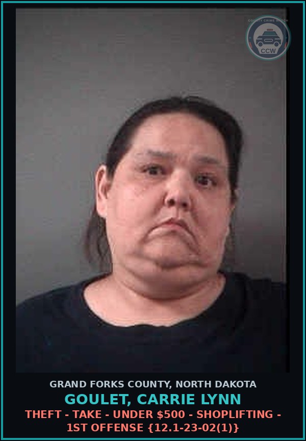 Booking mugshot of Goulet, Carrie Lynn in Grand Forks County