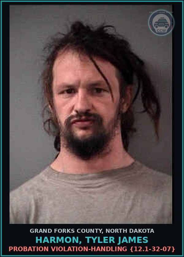 Booking mugshot of Harmon, Tyler James in Grand Forks County
