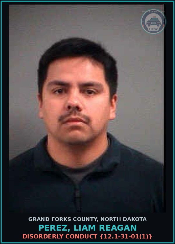 Booking mugshot of Perez, Liam Reagan in Grand Forks County