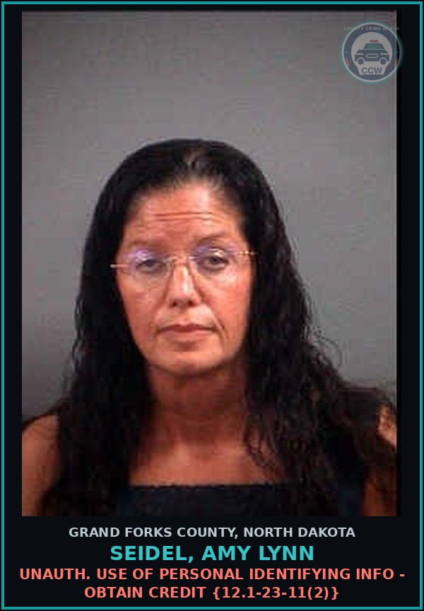 Booking mugshot of Seidel, Amy Lynn in Grand Forks County