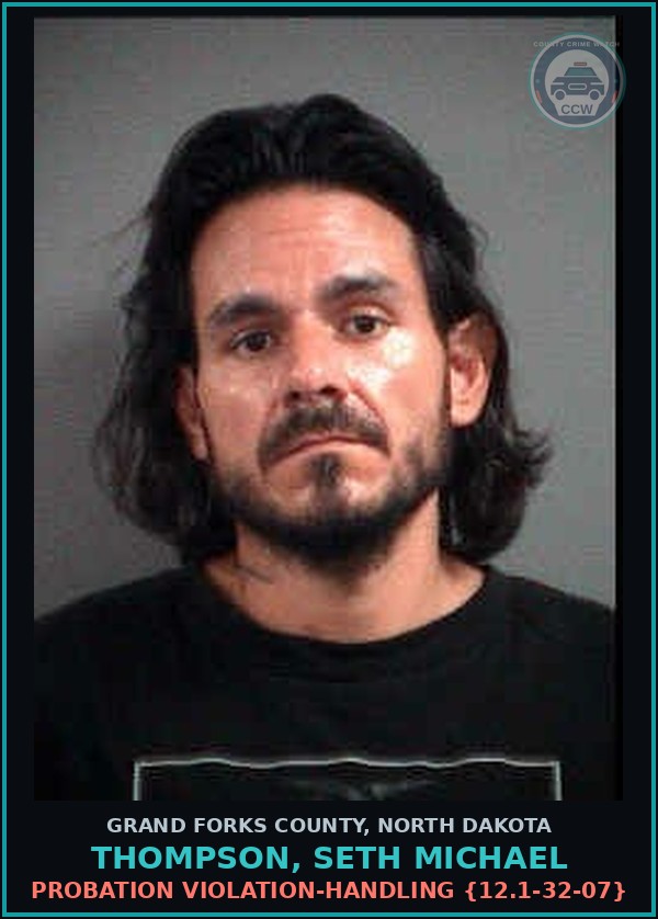 Booking mugshot of Thompson, Seth Michael in Grand Forks County