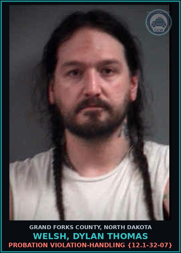 Booking mugshot of Welsh, Dylan Thomas in Grand Forks County