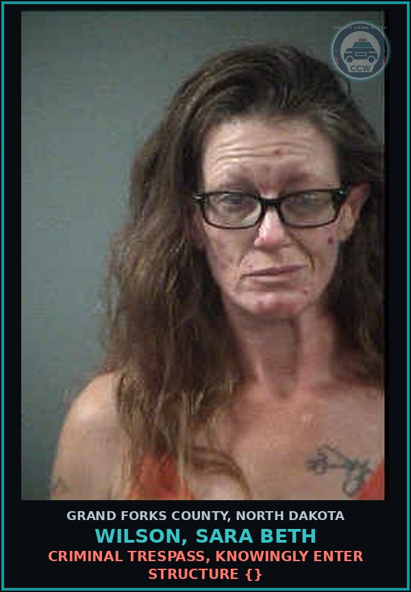 Booking mugshot of Wilson, Sara Beth in Grand Forks County