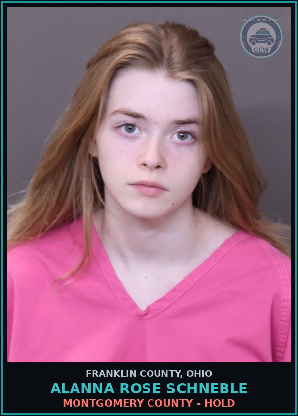 Booking mugshot of Alanna Rose Schneble in Franklin County