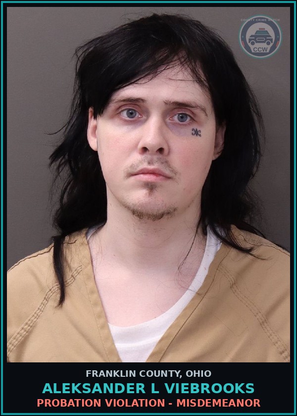 Booking mugshot of Aleksander L Viebrooks in Franklin County