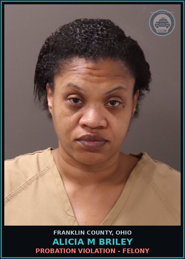 Booking mugshot of Alicia M Briley in Franklin County