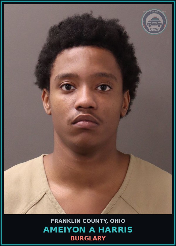 Booking mugshot of Ameiyon A Harris in Franklin County