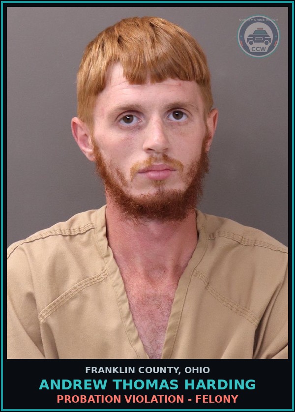 Booking mugshot of Andrew Thomas Harding in Franklin County